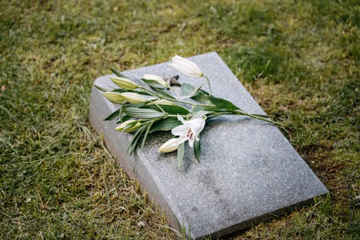 Deconstructing “Cheap Burial Insurance”: More Than Just the Sticker Price