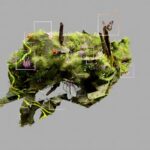 Unpacking the Enigma: What’s Truly Driving the mwd Technology Revolution?